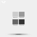 Neutral Gray 3